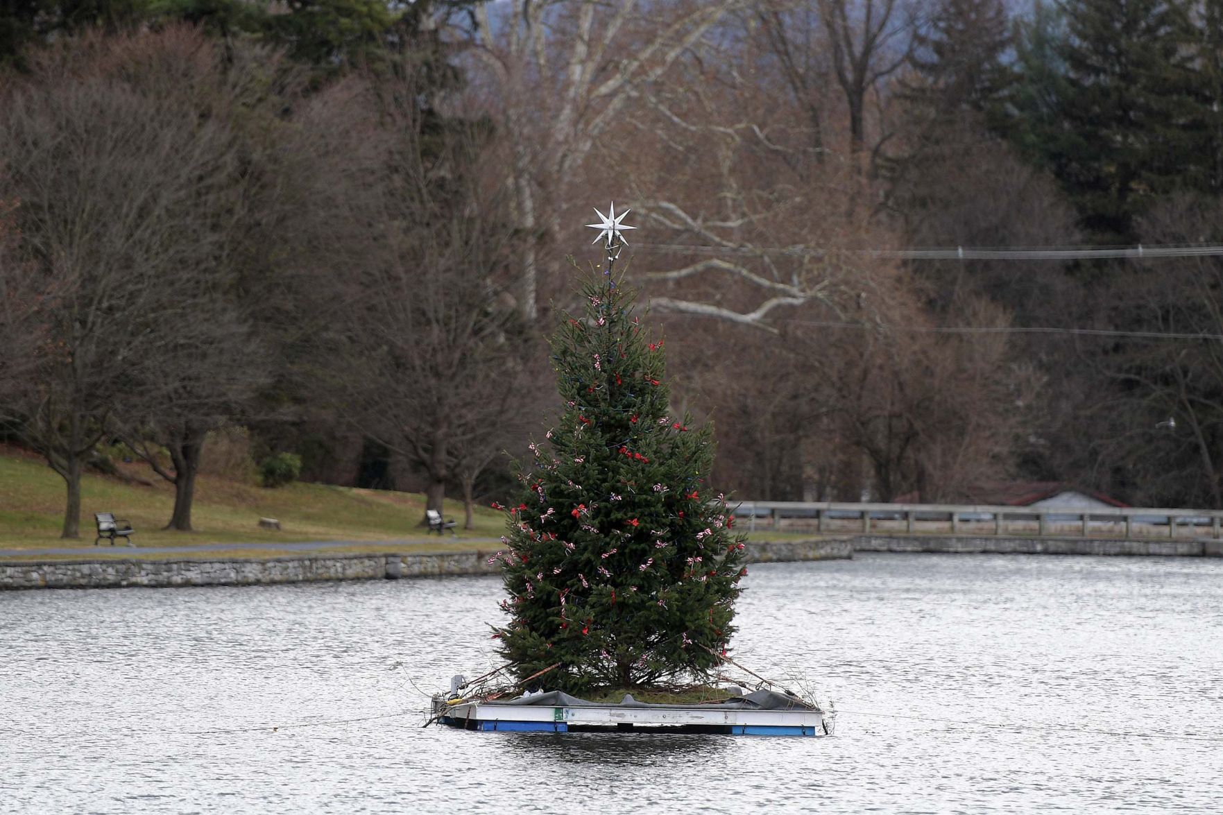 Boiling Springs Christmas Tree